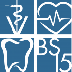 BS 15 Logo